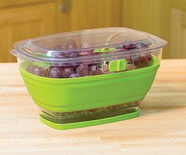 collapsible food container