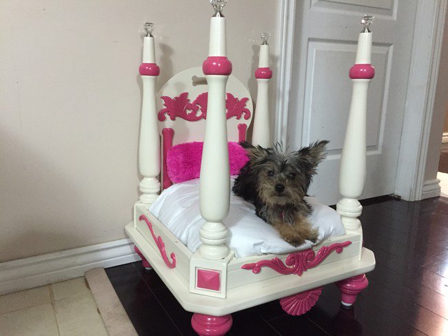 cupcake-four-poster-dog-bed