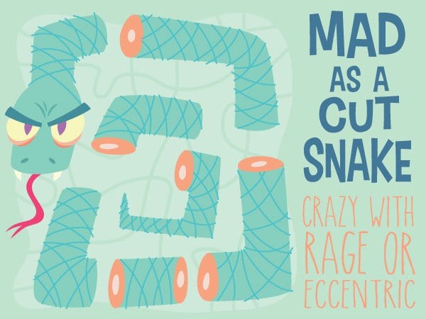 cut snake