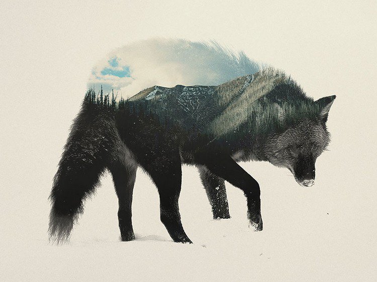 double exposure animal mountain