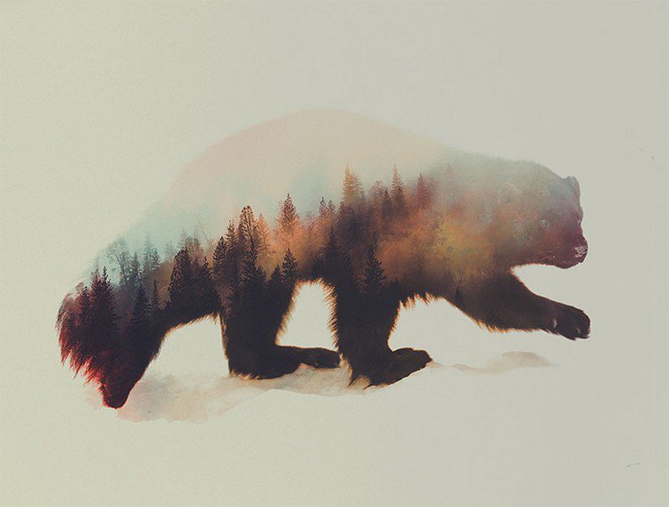 double exposure animal trees