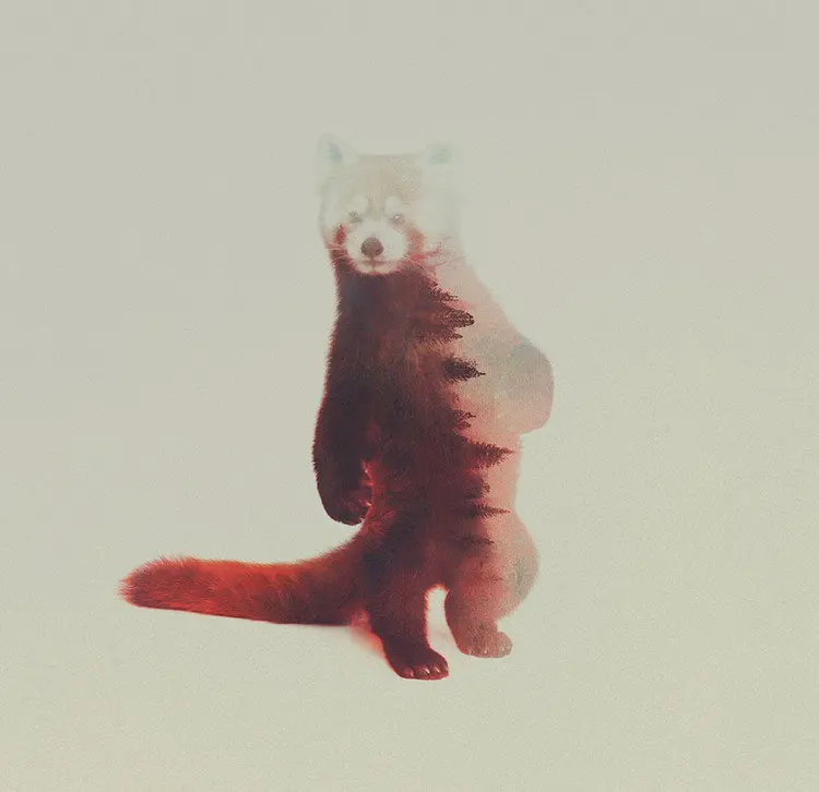 double exposure animal