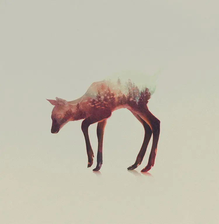 double exposure deer trees