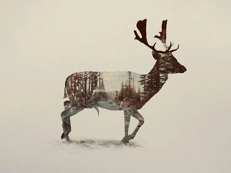 double exposure deer