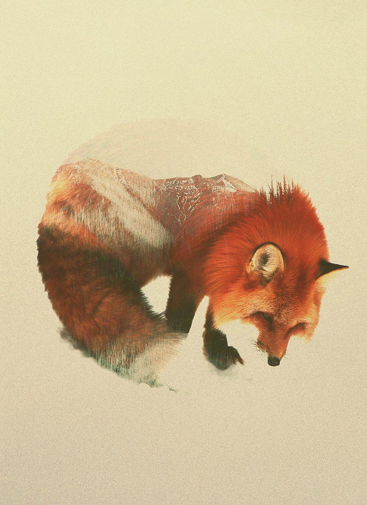 double exposure fox