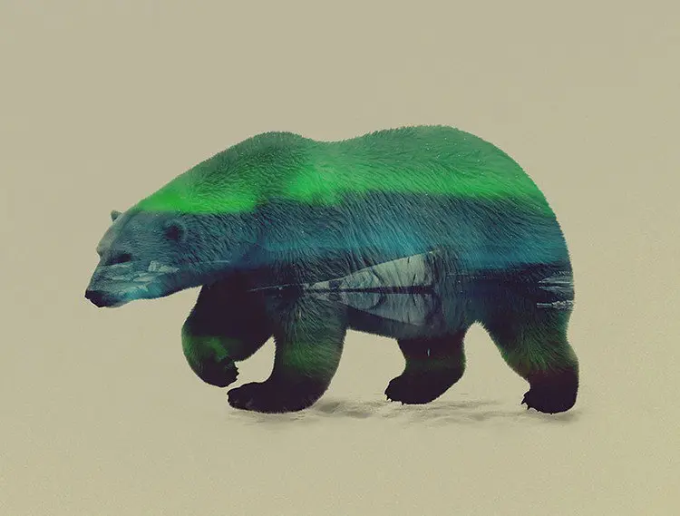 double exposure polar bear green