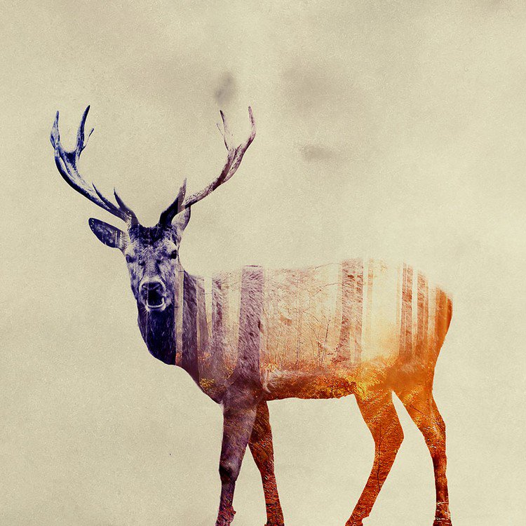 double exposure stag