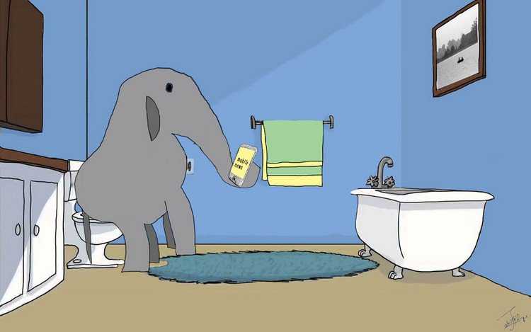 elephant on toilet