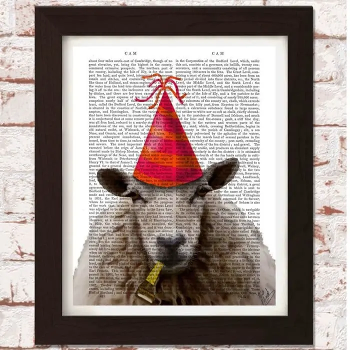 fab-funky-party-sheep