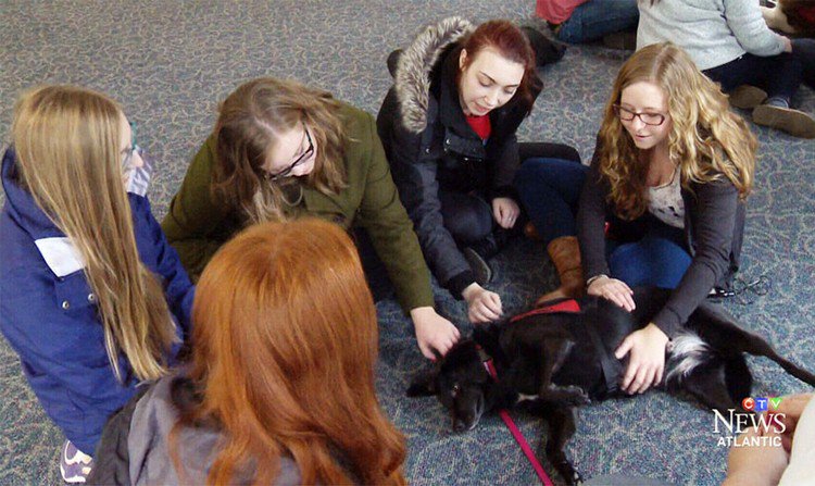 female students with dog