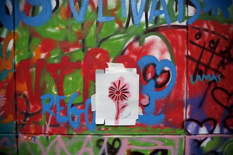 flower stencil graffiti
