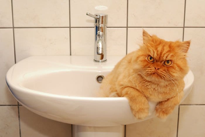 garfi bathroom sink