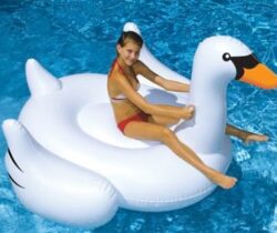 giant inflatable swan
