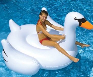 giant inflatable swan