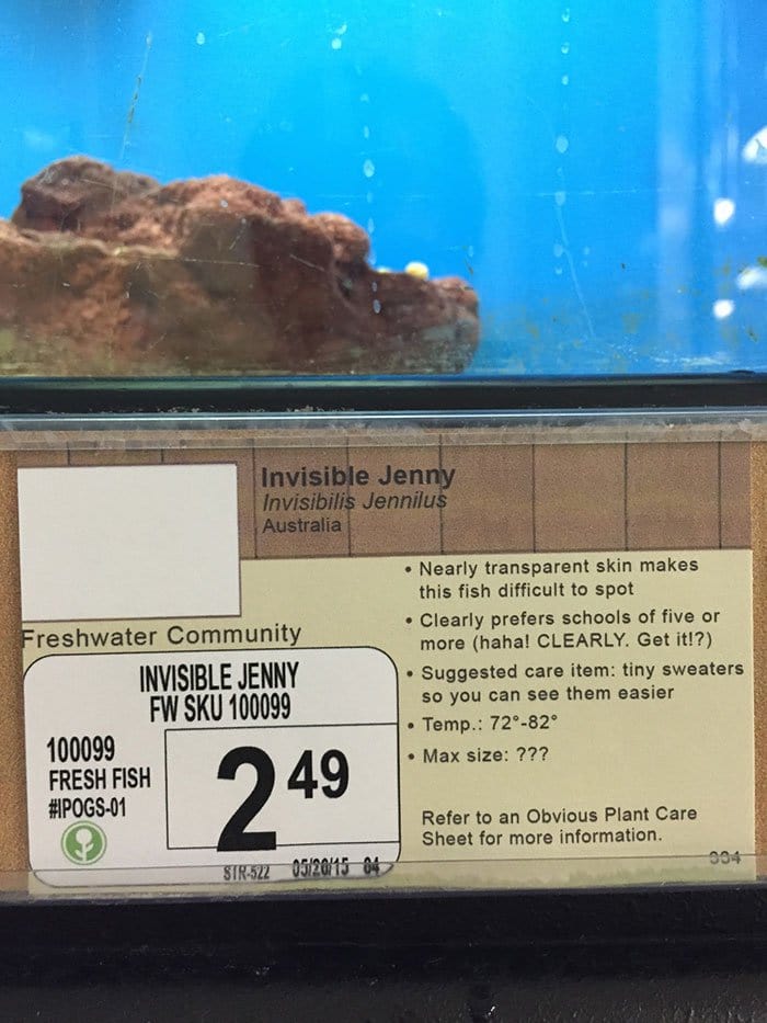 invisible jenny info