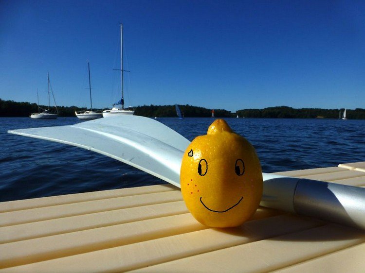lemon boats