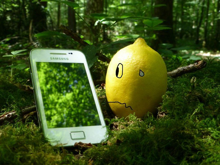 lemon cell phone