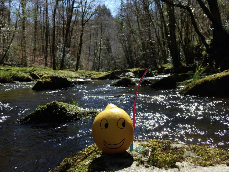 lemon fishing river