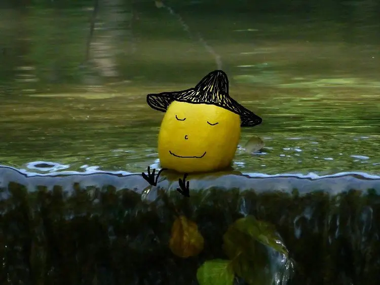 lemon hat canal