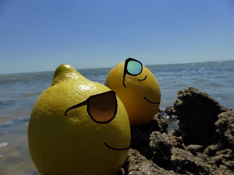 lemons sunbathing sea