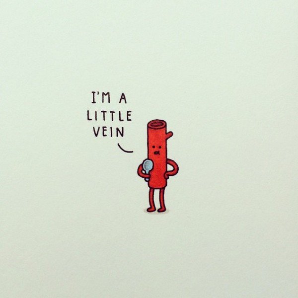 little vein