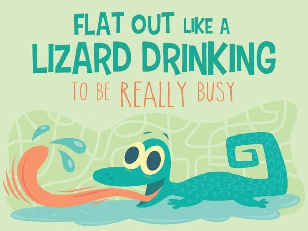 lizard drinking