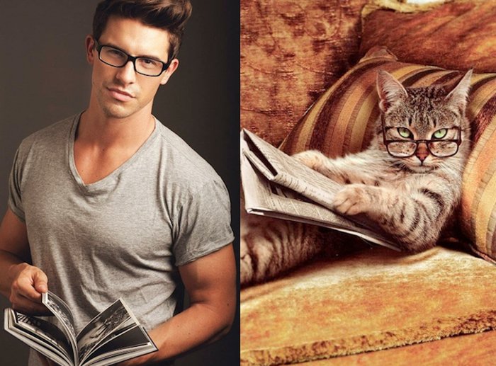 men-and-kittens-glasses