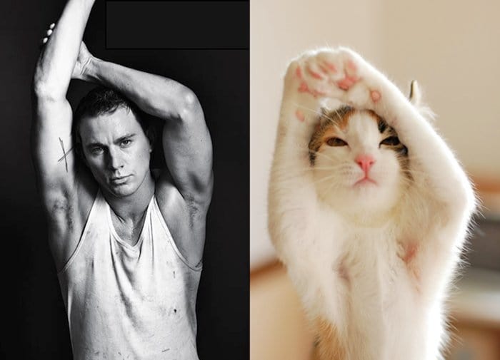 men-and-kittens-stretch