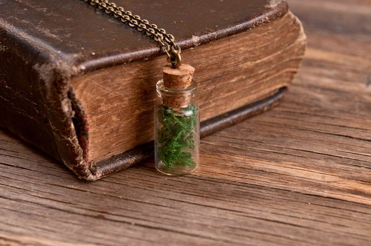 moss bottle necklace