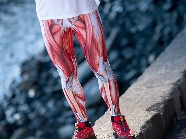 muscle-legs