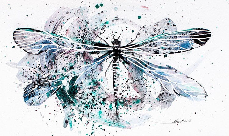 nora-illustration-dragonfly