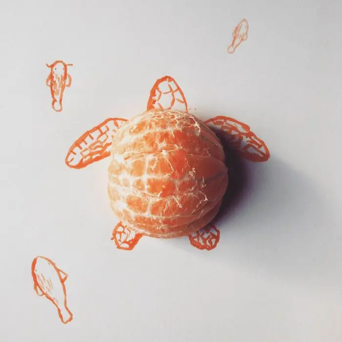 orange turtle