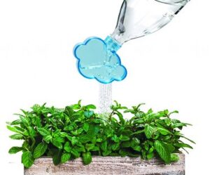 plant watering cloud