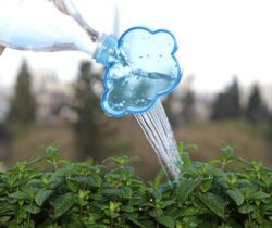 plant watering cloud rain