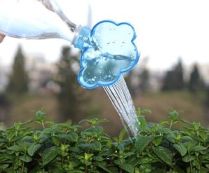 plant watering cloud rain
