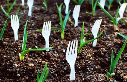 plastic-forks