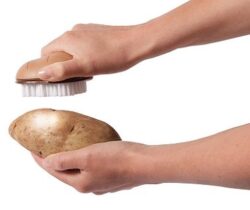 potato scrub brush