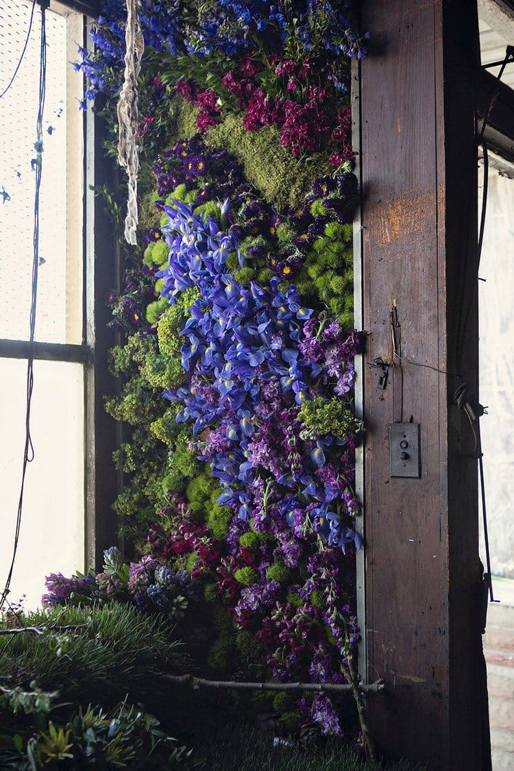 purple flowers house