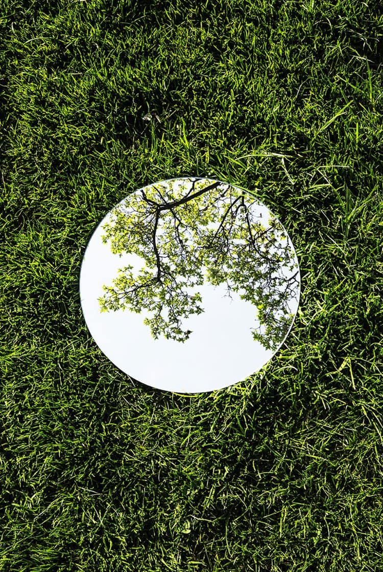 reflections-magnani-grass