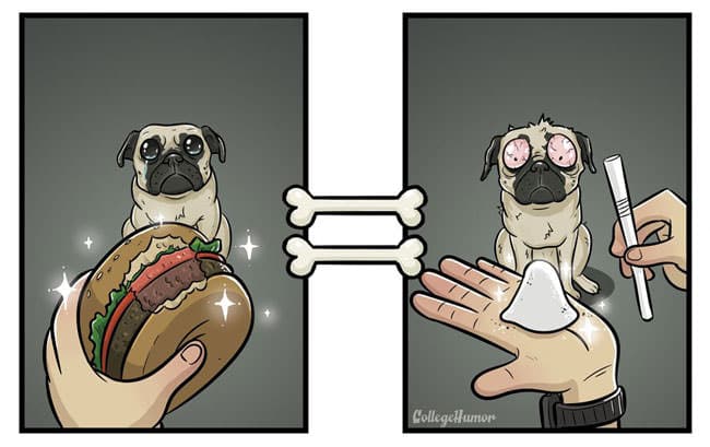 robert-brown-dog-burger