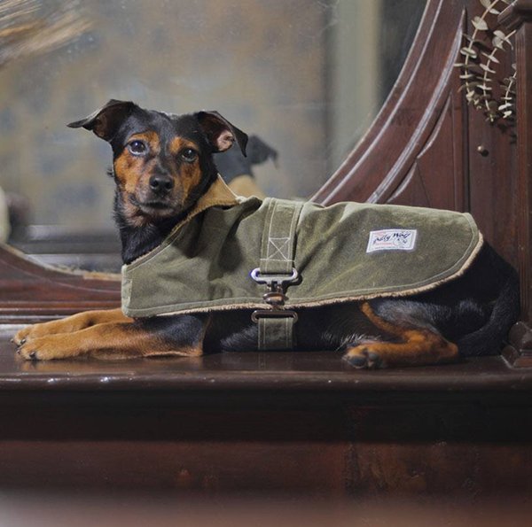 ruff-club-coat