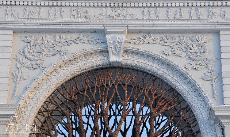 russian agriculture ministry tree close up