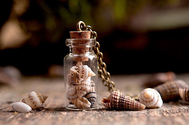 sea shells bottle necklace