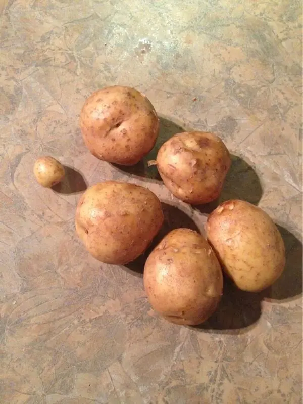 six-potatoes