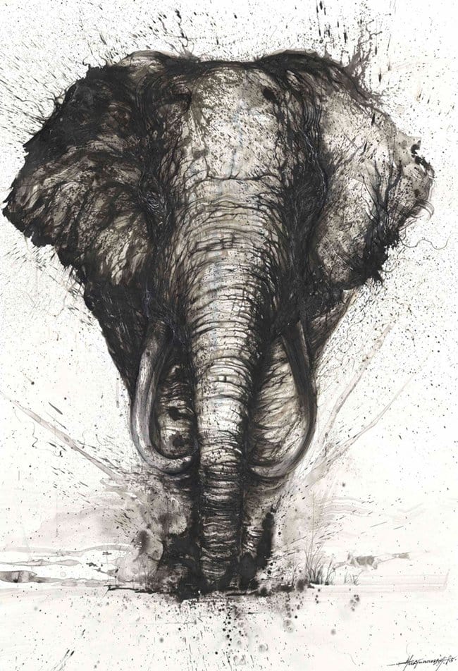 splatter-artist-hua-tunan-elephant