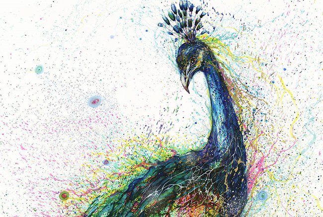 splatter-artist-hua-tunan-peacock`