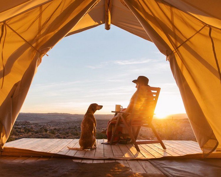 tent dog woman