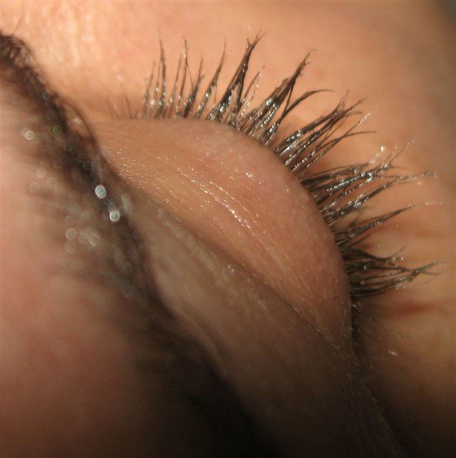 vaseline lids lashes