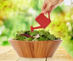 watering can dressing dispenser