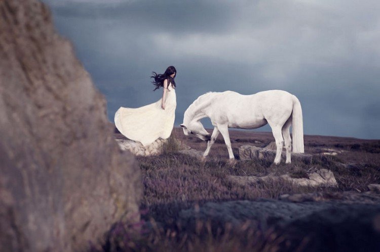 white horse white dress woman